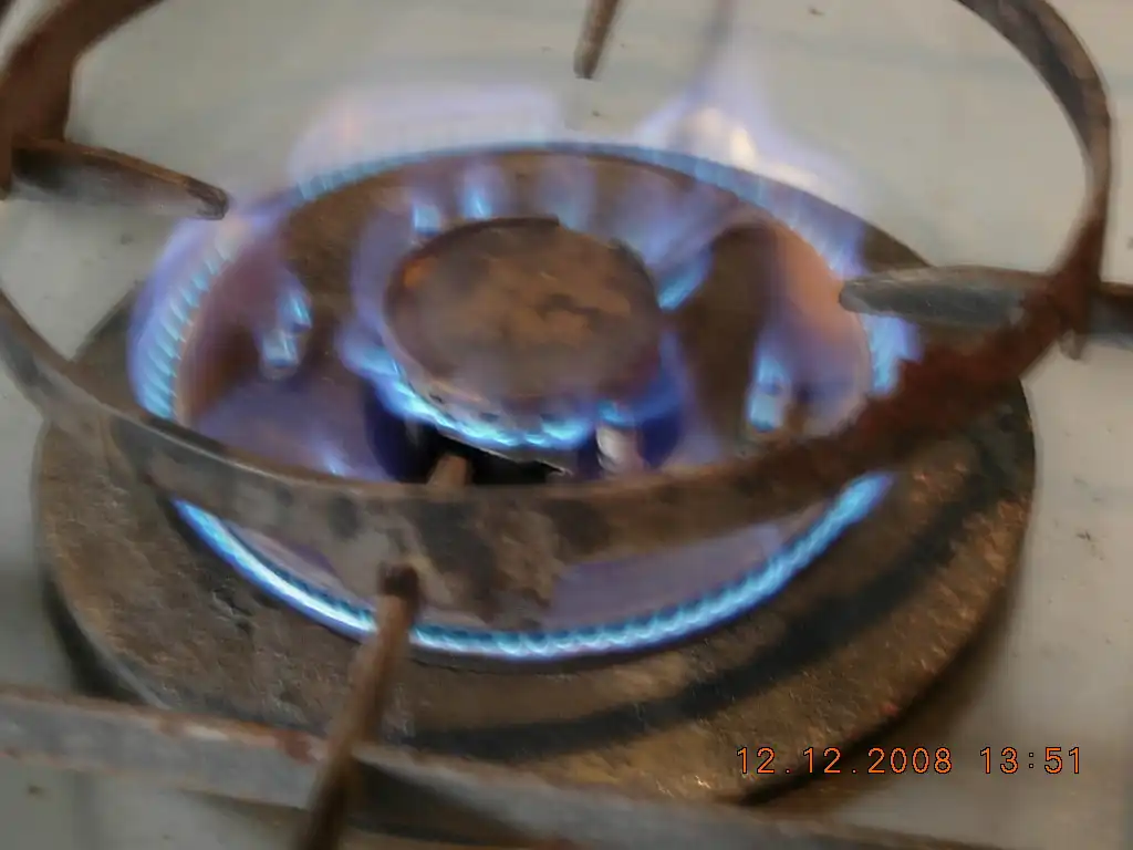 DSCN3282 Beautiful Flame