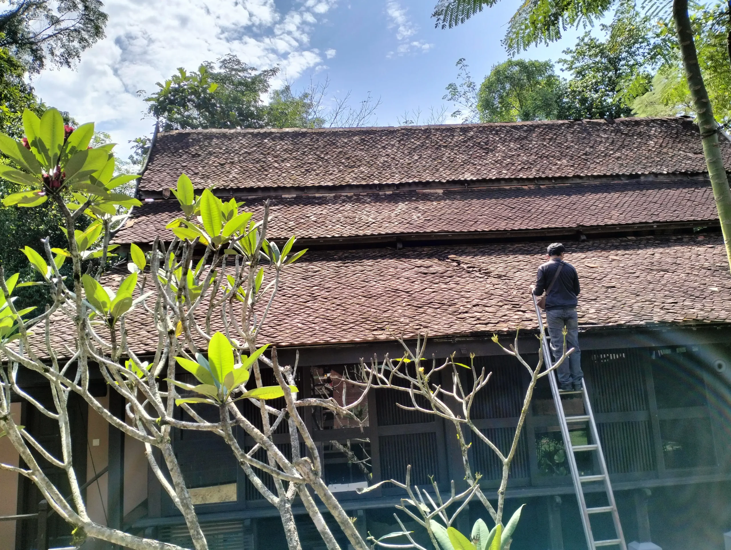 Before Shingles roofing